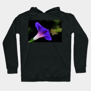 Enjoy A Glorious Morning Hoodie